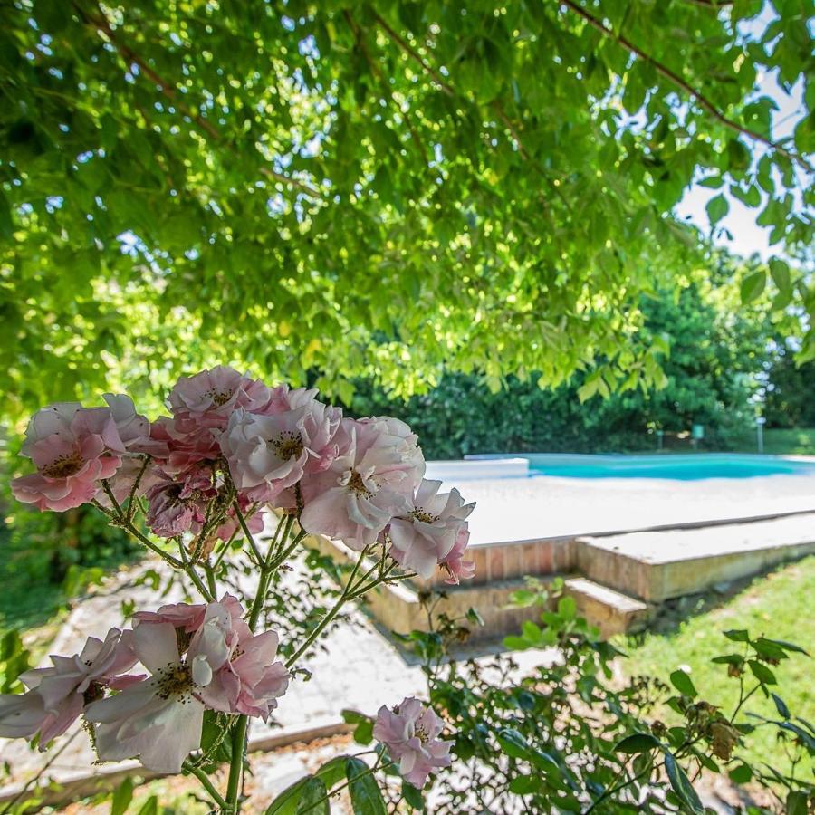 Borgo Del Nibbio Apartment Porto Levante ภายนอก รูปภาพ