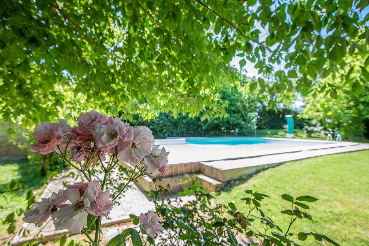 Borgo Del Nibbio Apartment Porto Levante ภายนอก รูปภาพ